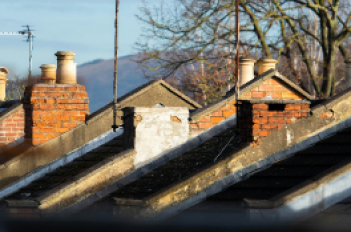 Care, Wellness, and First Aid